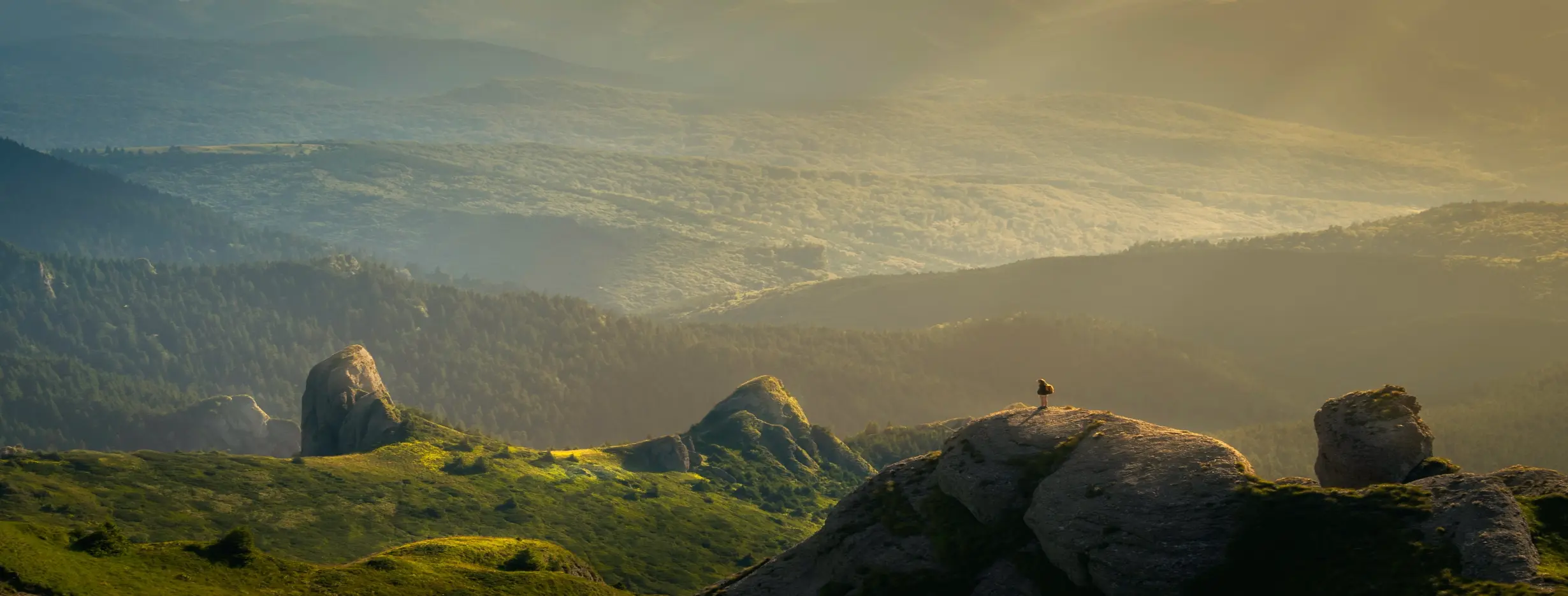 Image for Natural Escape